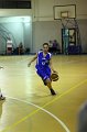 Basket 443007